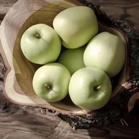 11 Folk & Design Alojamento de Acomodação e Pequeno-almoço Zakopane