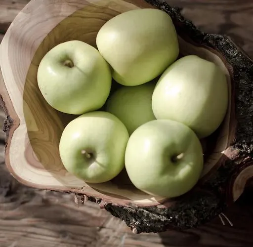 11 Folk & Design Bed & Breakfast Zakopane